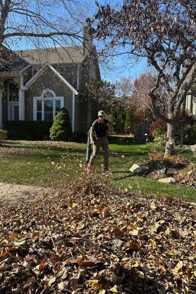 leaf cleanup service