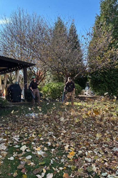 leaf cleanup service in Overland Park